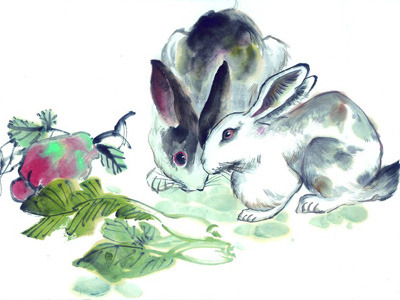 解析关于兔的寓言故事